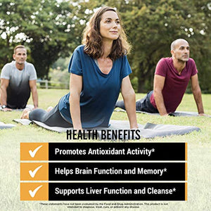 Turmeric Curcumin with BioPerine Black Pepper & 95% Curcuminoids, 1965mg, Maximum Absorption for Joint Support & Healthy Inflammatory Response, Non-GMO Turmeric Capsules, Made in USA - 90 Veg Caps