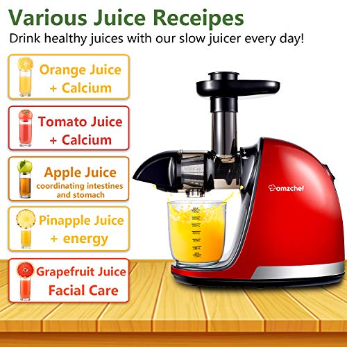Slow Juicer Extractor, AMZCHEF Slow Masticating Juicer Machines with Quiet Motor, Juice Extractor with Reverse Function, Cold Press Juicer Easy to Clean with Brush for High Nutrient Fruit & Vegetable Juice