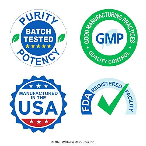 Quercetin - Immune, Sinus and Allergy Support 1000mg per Serving - (100 caps/50 Servings) Vegan, Non-GMO