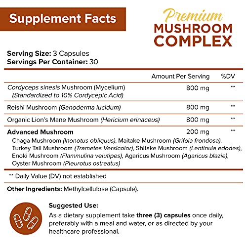 NutriFlair Mushroom Supplement 2600mg - 90 Capsules - 10 Mushrooms - Reishi, Lions Mane, Cordyceps, Chaga, Turkey Tail, Maitake, Shiitake Nootropic Complex - Brain, Energy, Focus