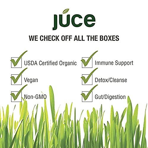 Terra Kai Organics JUCE Greens Superfood Drink Mix - Harvest Apple Flavor - 40 Servings - Fruits & Vegetables for Immune Boost, Detox & Cleanse, Improve Gut Health (17.44 Ounce, Pack of 2)