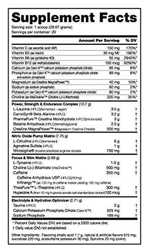 NutraBio PRE Workout Powder - Sustained Energy, Mental Focus, Endurance - Clinically Dosed Formula - Beta Alanine, Creatine, Caffeine, Electrolytes - 20 Servings - Blue Raspberry