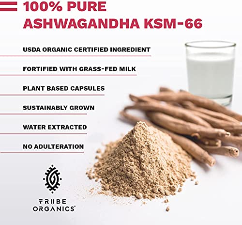 Tribe Organics, 600mg KSM-66 Ashwagandha Root Extract Powder Ayurvedic Herb for Mood Support, Increase Energy, Strength - Organic, Natural, Gluten Free, Non GMO, Full-Spectrum - 90 Capsules
