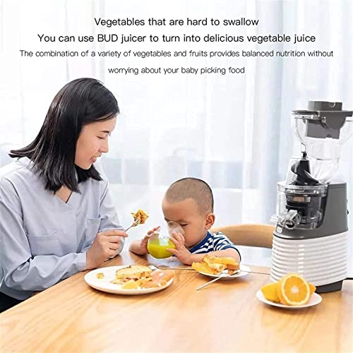Juicer Machines Slow Masticating Juicer Extractor, 3.15 Inches Wide Chute Cold Press Juicer for Easy Juice and Clean, High Juice Yield for Fruit