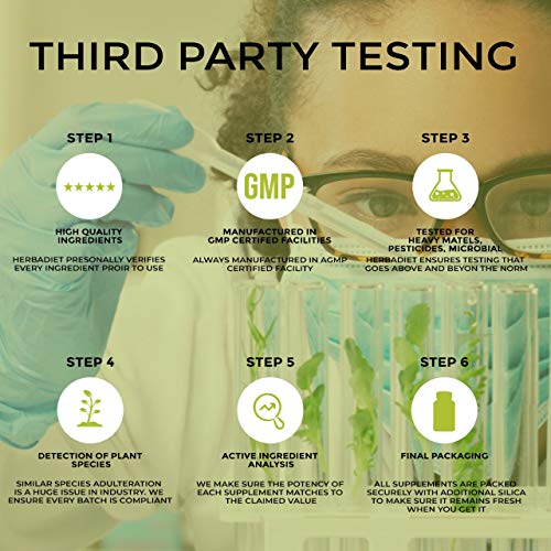 Quercetin with Bromelain 500mg | Immune System Support Heart Health Anti-oxidant Joint Support Supplement | Non-GMO, Vegan, Gluten Free Powder (500 Gram)