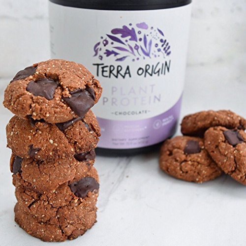 Terra Origin, Plant Protein, Powder, Vanilla Chai, 15 Servings Includes Organic Brown Rice Protein and Pea Protein Isolate, Vegan, Gluten Free, 18g Protein