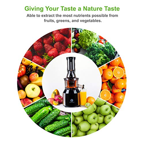 Ventray Masticating Juicer Machine, Electric Slow Cold Press Juice Extractor Maker for Citrus Orange Fruit Vegetable with Quiet Motor & Large Feed Chute, Vertical Compact Design and Easy Clean - 808