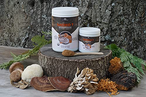 Sacred 7 Mushroom Extract Powder - USDA Organic - Lion's Mane, Reishi, Cordyceps, Maitake, Shiitake, Turkey Tail, Chaga - Supplement - Add to Coffee/Tea/Smoothies - Whole Mushrooms - No fillers