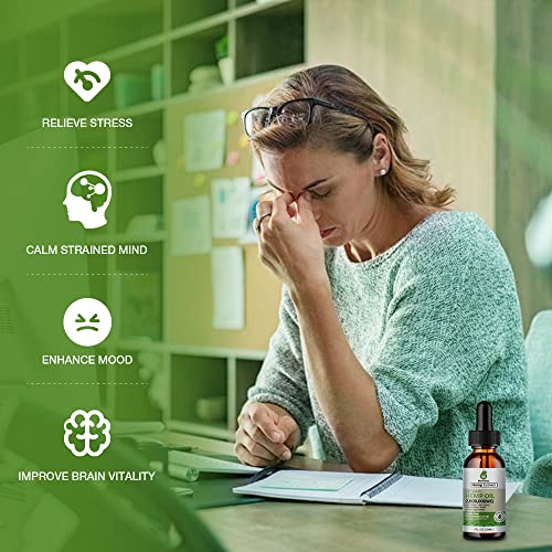 (3 Pack) Organic Hemp Oil for Pain Relief and Inflammation – Maximum Sthength Extract for Anxiety Stress Relief Calm Sleep Relax Focus Vaginal Dryness - CBS Tincture Drops CBDmd CDB Zero CBD Oil