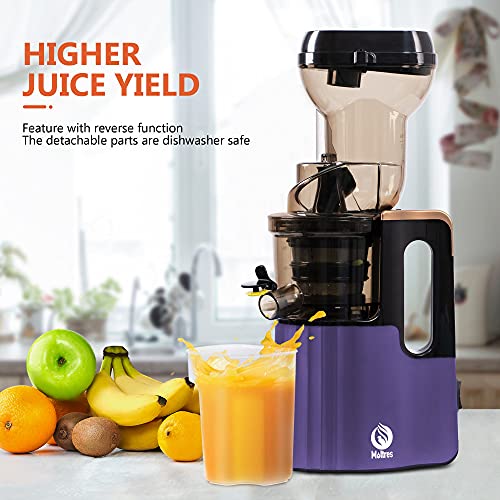 Slow Masticating Juicer High Yield,MOLTRES Cold Press Juicer Machine with Quiet Motor, Juicer Extractor with Reverse Function for Vegetables and Fruits Supplies a Brush Easy to Clean
