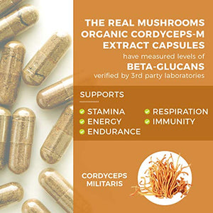 Real Mushrooms Cordyceps Peak Performance Supplement for Energy, Stamina, Endurance (120ct) Non-GMO, Vegan Cordyceps Mushroom (60 Day Supply)