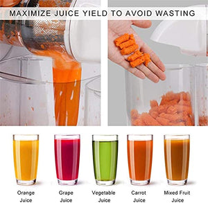 WEALTHGIRL Masticating Juicer Machine with Reverse Function, Cold Press Juicer Machine with Quiet Motor, Easy to Clean with Brush for Kitchen Office