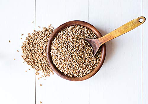 Wheat Berries, 1 Pound – Non-GMO Verified, Sprouting for Wheatgrass, Kosher, Raw, Vegan, Bulk