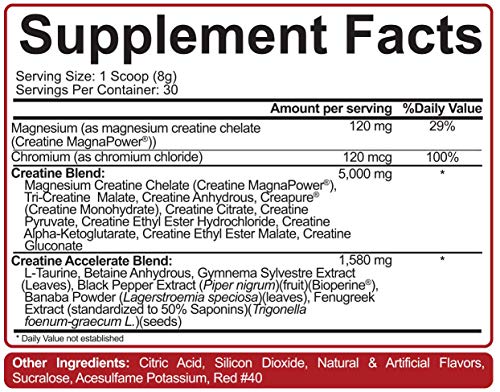 Rich Piana 5% Nutrition CreaTEN 10 Creatine System w/Micronized Creatine Monohydrate & MagnaPower - Enhance Muscle Growth, Strength, Endurance, Pump, Recovery 8.47 oz, 30 Servings (Fruit Punch)
