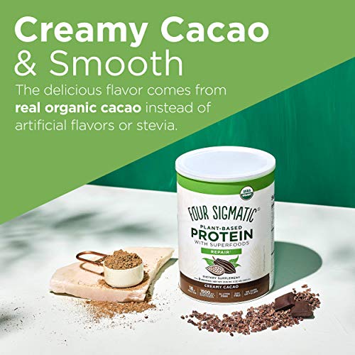 Four Sigmatic Creamy Cacao Superfood Protein, Organic Plant-Based Protein with Chaga Mushroom & Ashwagandha, Supports Immune Function & Muscle Repair, Blends Smoothly, 21.16 oz