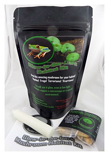 Forest Organics Glow in the Dark Mushroom Growing Habitat Log Kit