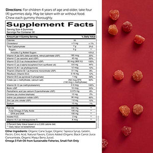SmartyPants Kids Formula Daily Gummy Multivitamin: Vitamin C, D3, and Zinc for Immunity, Gluten Free, Omega 3 Fish Oil, Vitamin B6, B12, Cherry Berry, 120 Count (30 Day Supply)