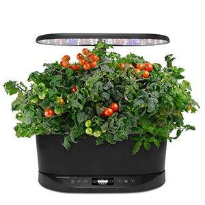 AeroGarden Bounty Basic - Indoor Garden with LED Grow Light, Black & Salad Seed Pod Kit, 7