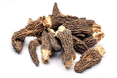 Slofoodgroup Dried Morel Mushrooms (Morchella Conica) Gourmet Morel Mushrooms (15 Morel Mushrooms)