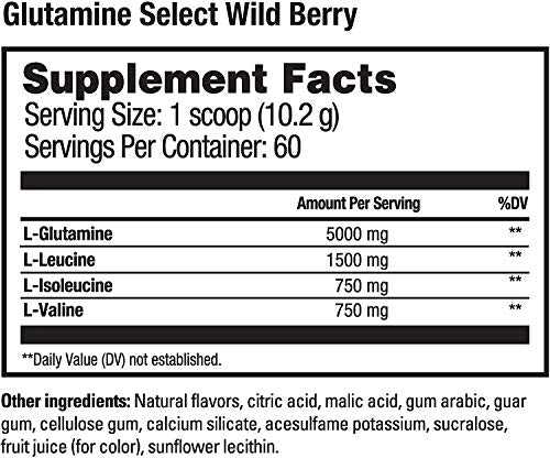 Beverly International Glutamine Select, 60 Servings. Clinically dosed glutamine and BCAA Formula for Lean Muscle and Recovery. Sugar-Free. Great for Keto, Fasting, Weight-Loss Diets.