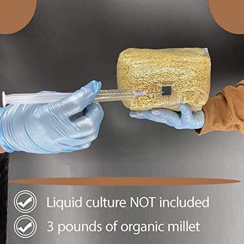 Sterilized Grain Bag with Injection Port - Fast Colonization, Robust Mycelium Growth - Grow Your Own Edible Mushroom at Home - 3(lbs)