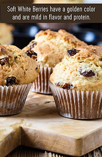 Soft White Wheat Berries • Family Farmed in Washington State • 100% Desiccant Free • 3 lbs • Non-GMO Project Verified • 100% Non-Irradiated • Kosher • Field Traced • Cotton Bag