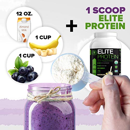 Organic Protein Powder - 25 Grams of Pea and Hemp Protein,14 Servings - Meal Replacement Shake, Plant Based, USDA Organic, Non-GMO, Dairy-Free, Vegan, Bundle - Vanilla - Pack of 2