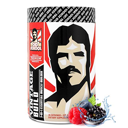 VINTAGE BUILD Post Workout BCAA, Creatine, L-Glutamine - The Essential 3-in-1 Muscle Building Recovery Powder for Men and Women (Fresh Berries) - Keto Friendly - 377 Grams - 30 Servings