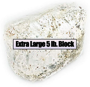 Blue Oyster Easy Mushroom Grow Kit - XL 5 Pounds for Big Flushes!