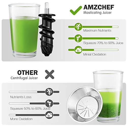 Slow Masticating Juicer, AMZCHEF Slow Juicer Extractor Professional Machine, Cold Press Juicer with Quiet Motor/Reverse Function, Juicer Machines with Brush, for High Nutrient Fruit & Vegetable Juice
