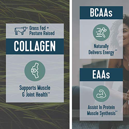 Vital Performance Recovery Powder, NSF for Sport Certified, 20g Vital Proteins Collagen, 8g BCAA, 5g EAA, Post Workout Supplements, Watermelon Berry