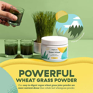 Brightcore Nutrition - Sweet Wheat, Wheatgrass Juice Powder, Green Superfood for Digestive Health and Immune Boost, Nutrient-Rich Wheatgrass Juice Drink, Pack of 2 x 90 Grams