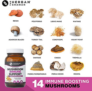 The Herban Shaman Mushroom Supplement Immune Support | Organic Mushroom Herbal Supplement | Polysaccharides, Maitake, Reishi, PSK, Chaga, Cordyceps, Lions Mane + More (90 Capsules)