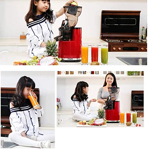 wan QIN Juicer Machines, Masticating Juicer, 3.2-Inch Wide Chute Cold Press Juicer, Easy to Clean with Brush, Carrot Slow Juicer Machine, High Nutrition Reserve & Juice Yield Juice Machine