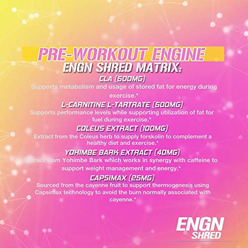 Evlution Nutrition ENGN Shred Pre Workout Powder, Energy, 30 Servings (Pink Lemonade)