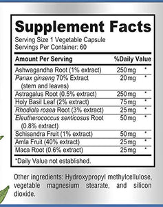 Adaptogen Stress Relief Immune Support Formula, 60 Capsules, Adrenal Support with Ashwagandha, Astragalus, Ginseng, Holy Basil, Rhodiola, Amla, Maca, Schisandra, Eleuthero, Non-GMO