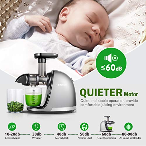 Slow Masticating Juicer, AMZCHEF Slow Juicer Extractor Professional Machine, Cold Press Juicer with Quiet Motor/Reverse Function, Juicer Machines with Brush, for High Nutrient Fruit & Vegetable Juice