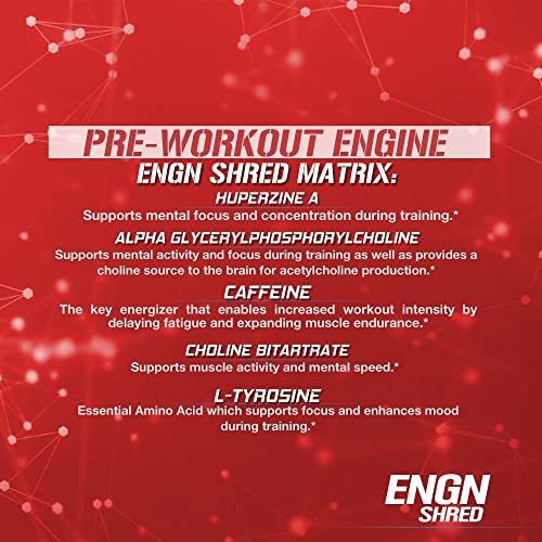 Evlution Nutrition ENGN Shred Pre Workout Powder, Energy, 30 Servings (Fruit Punch)