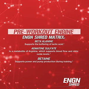 Evlution Nutrition ENGN Shred Pre Workout Powder, Energy, 30 Servings (Fruit Punch)