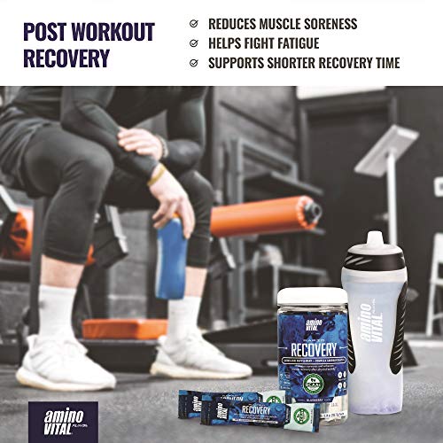 Amino VITAL Rapid Recovery- BCAAs Amino Acid Post Workout Powder Packets | Muscle Recovery Drink with Glutamine | Vegan, Gluten Free Supplement | 14 Single Serve BCAA Travel Packets | Blueberry Flavor