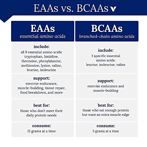 BCAA Glutamine Supports Muscle Endurance, Growth Recovery with Essential Amino Acids (14.01 Ounce Powder) by BodyTech