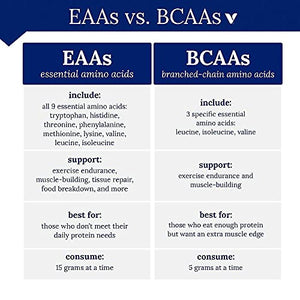 BCAA Glutamine Supports Muscle Endurance, Growth Recovery with Essential Amino Acids (14.01 Ounce Powder) by BodyTech