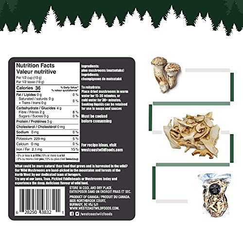 West Coast Wild Foods | Dried Wild Mushrooms (Matsutake - Pine, 0.5lb)