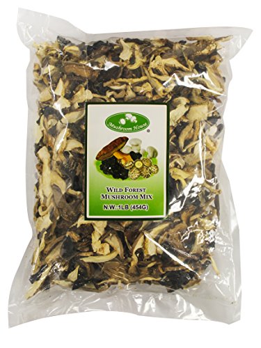 Mushroom House Dried Wild Forest Blend, 16 Oz