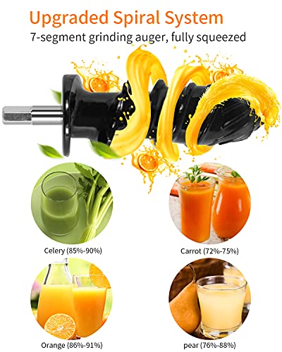 Vegetable and Fruit Masticating Juicers Extractor for Wheatgrass Tomato Leafy Greens Carrots Celery Ginger Beet Roots, Cold Press Slow Juicer Machines with Reverse Function High Juice Yield Easy Clean