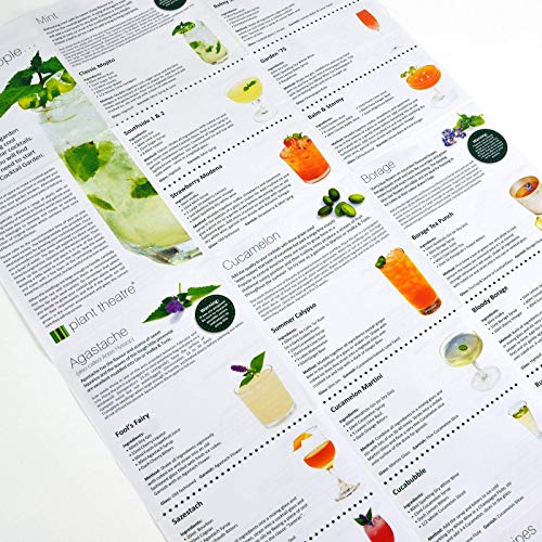 Plant Theatre Cocktail Herb Garden Kit - Grow 6 Varieties of Plants for Cocktails with Seeds, Starter Pots, Planting Markers and Peat Discs - Gardening Gifts for Women & Men﻿