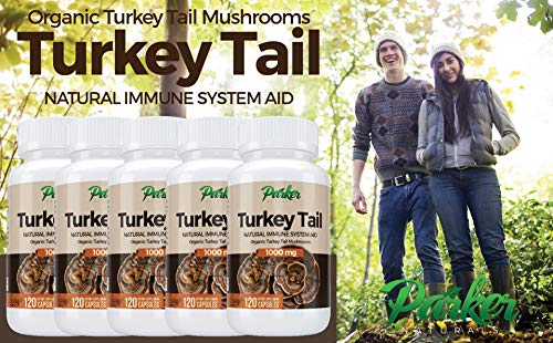 Premium Organic Turkey Tail Mushroom Capsules by Parker Naturals Supports Immune System Health. Nature's Original Superfood. 120 Capsules …