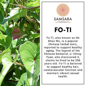 Samsara Herbs Fo-Ti Extract Powder (8oz/227g) (He Shou Wu) - 20:1 Concentrated Extract
