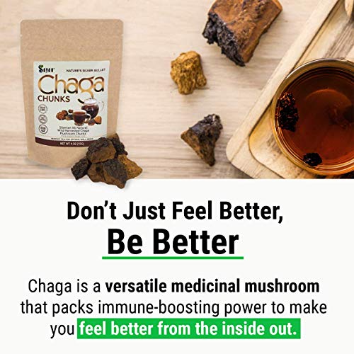 Sayan Siberian Pure Raw Chaga Mushroom Chunks with Black Top Crust 8 Oz / 227 g – Premium Wild Forest Harvested Super Antioxidant Tea, Supports Immune System, Heart & Liver Health