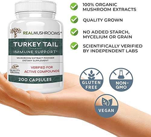 Real Mushrooms Turkey Tail Mushroom Supplements for Immune Support, Wellness, Vitality | Vegan, Non-GMO Turkey Tail Capsules (200 Capsules / 100 Day Supply)